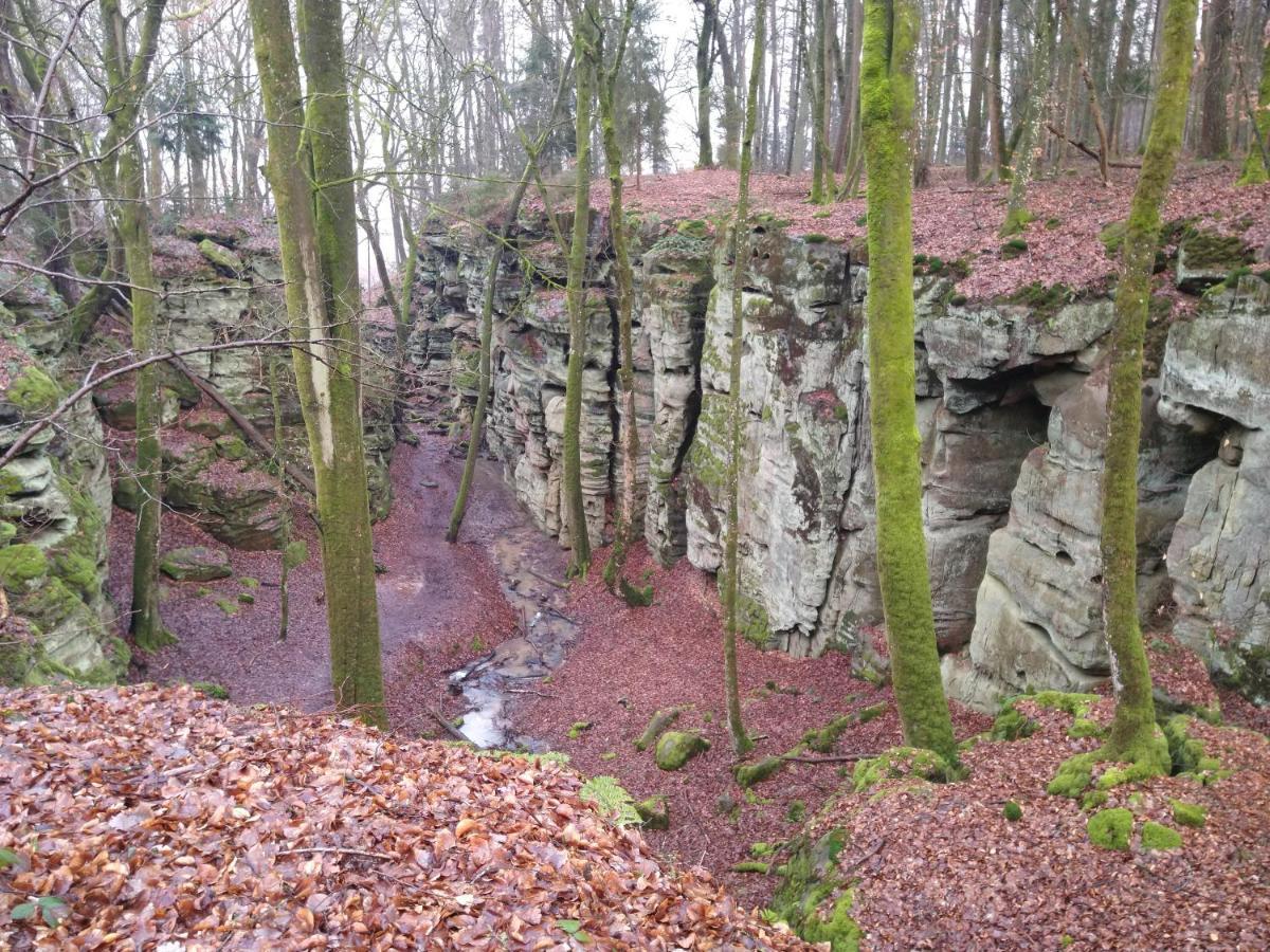 Ferienhaus Fraeulein Frenz Bollendorf Esterno foto