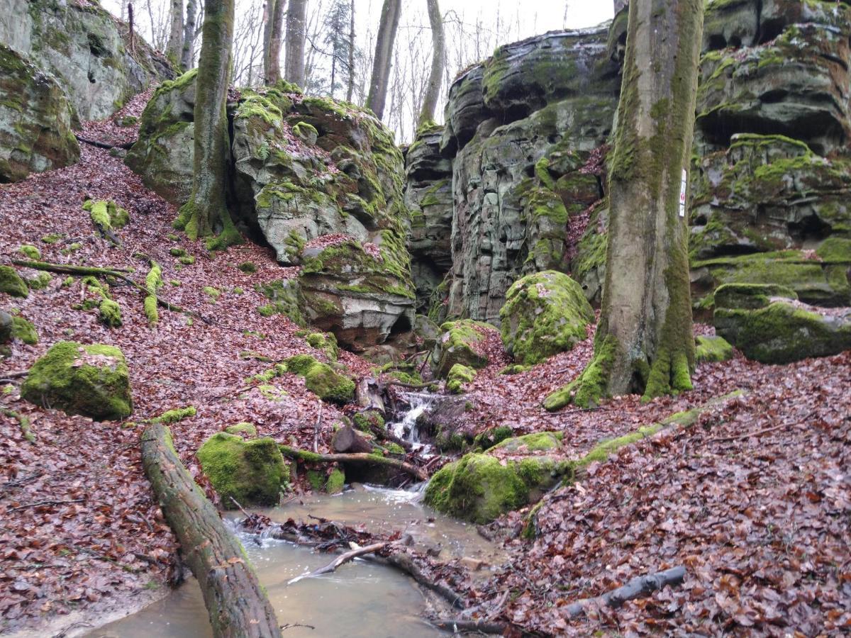 Ferienhaus Fraeulein Frenz Bollendorf Esterno foto